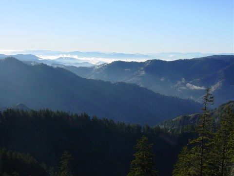 Mt. LeConte