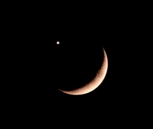moon_venus_occultation