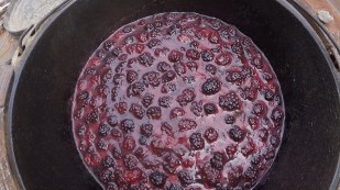 Berries