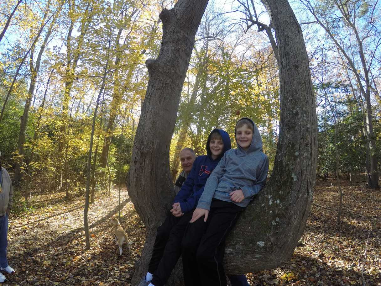 DCIM100GOPROG0073923.