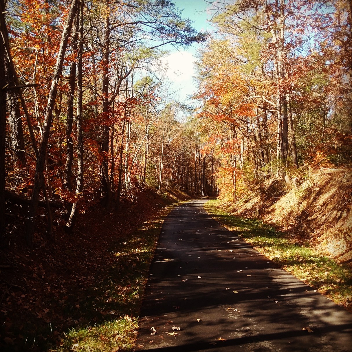 IMG_20171122_182757_224