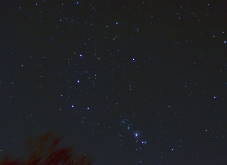 Orion