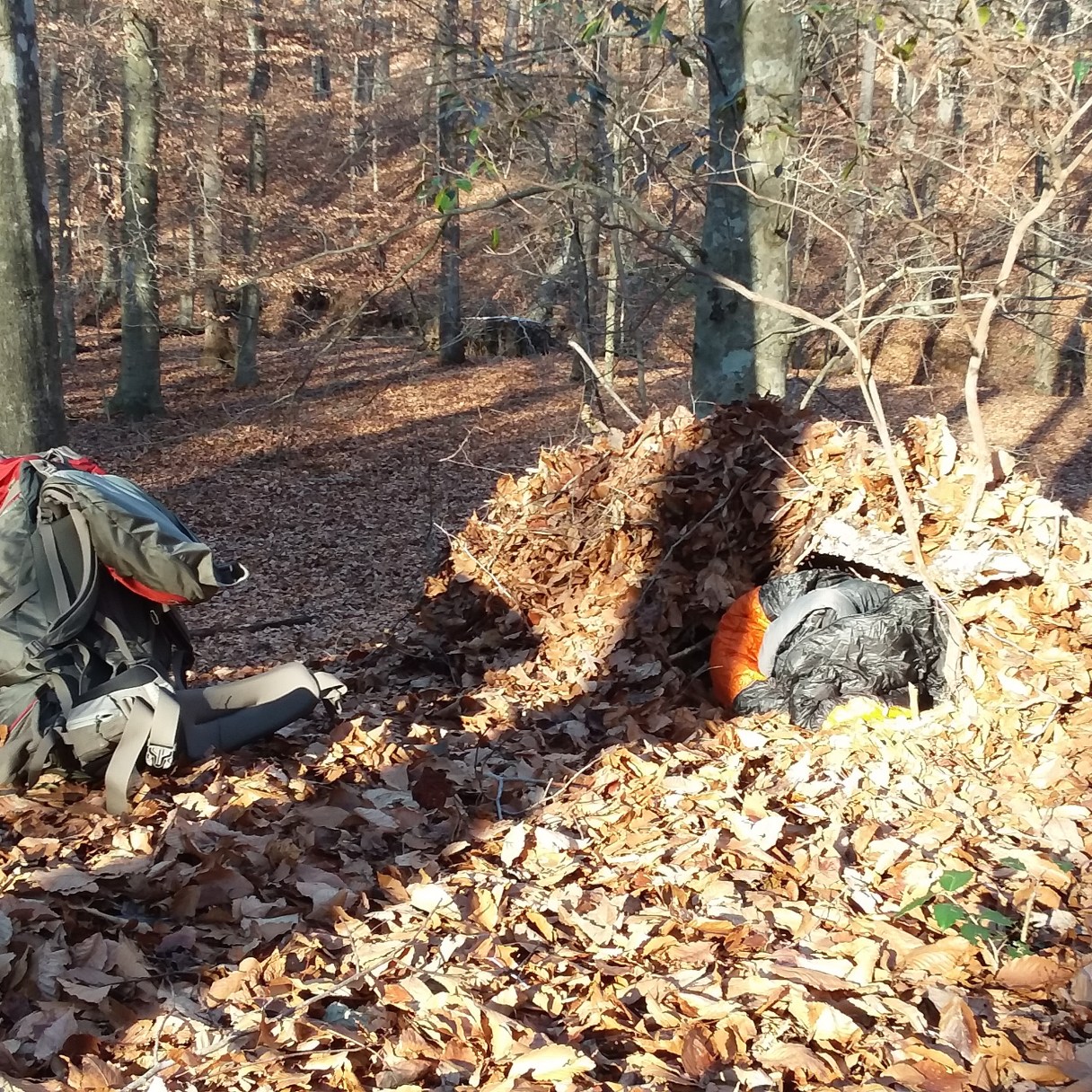 IMG_20171216_144333_438