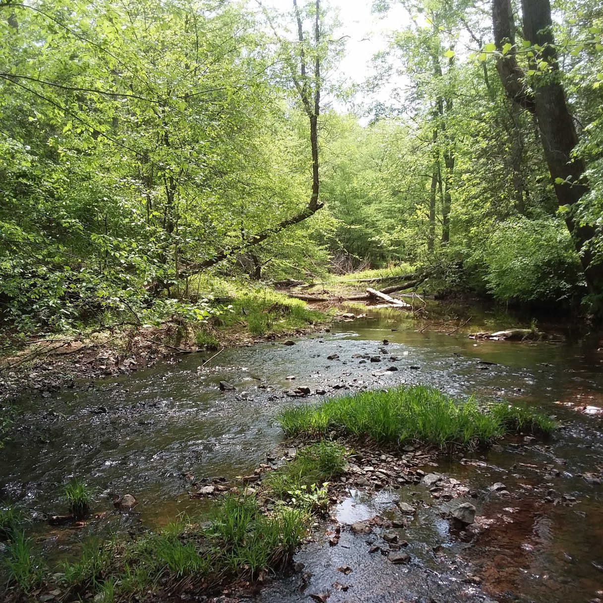 IMG_20180512_075630_064