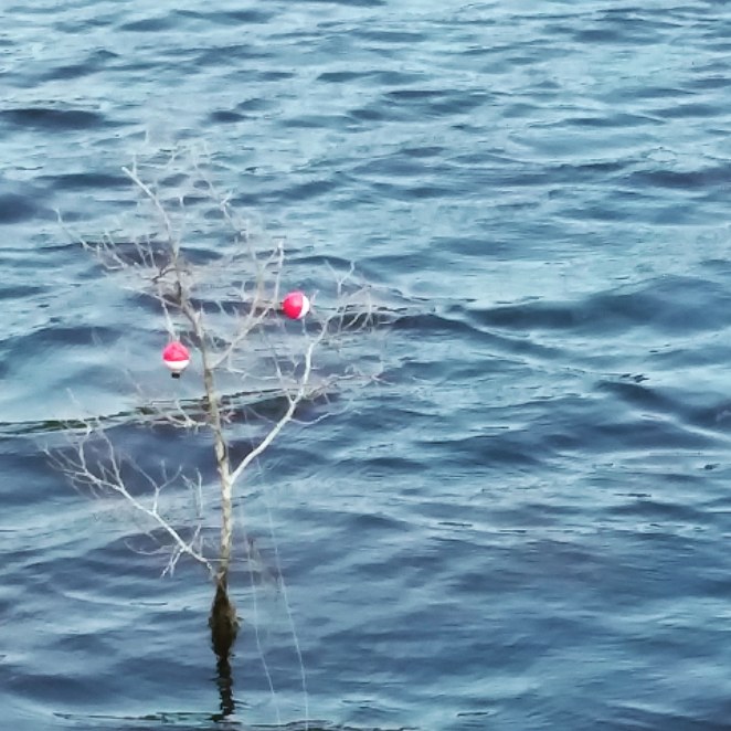 IMG_20180712_092425_502