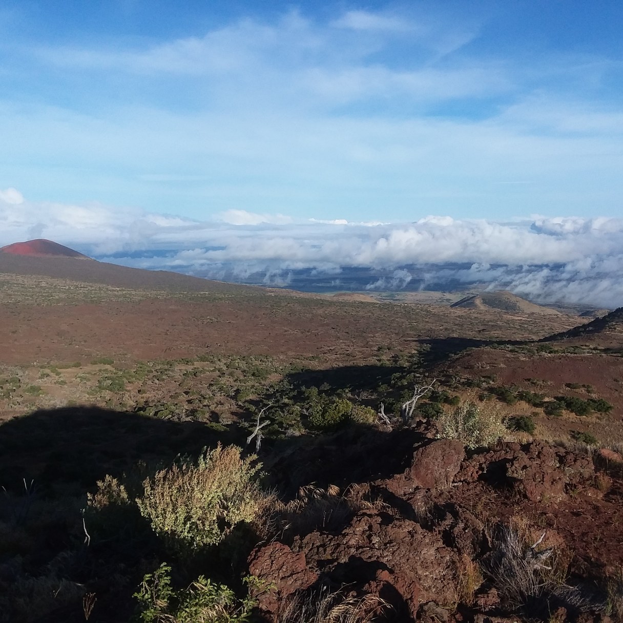 IMG_20180806_074102_877