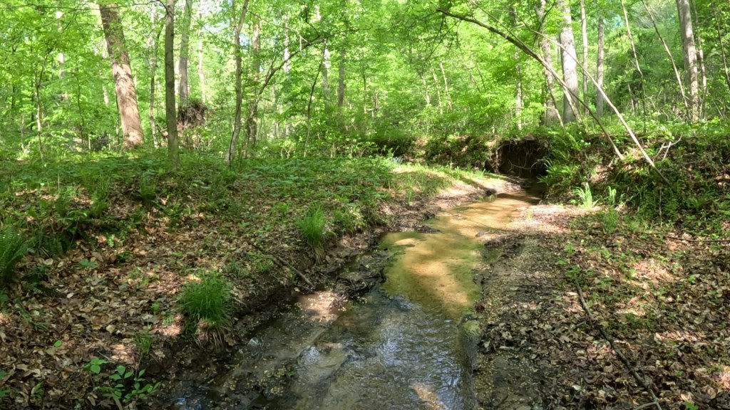 Oriole Trail Creek