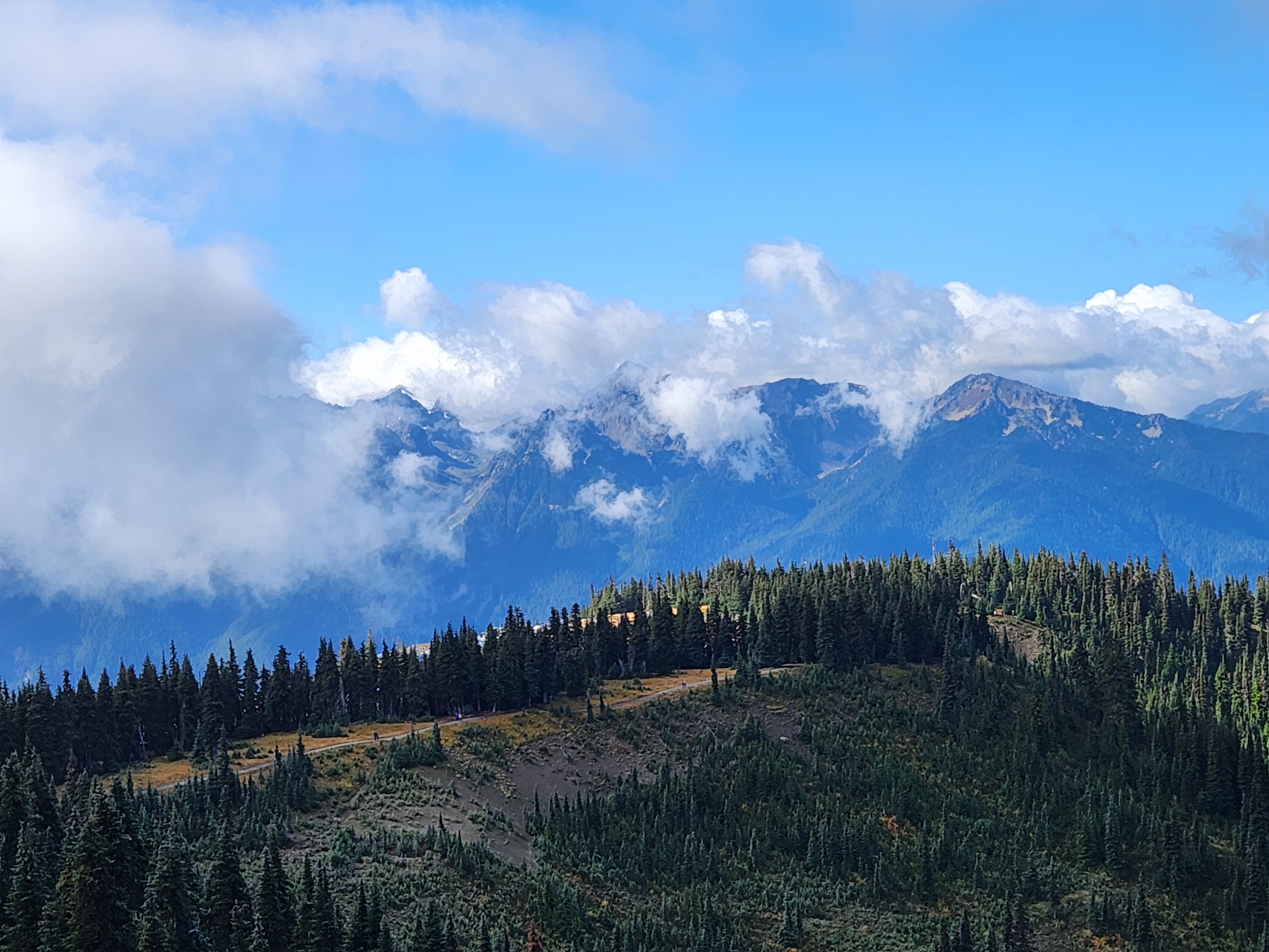 Hurricane Ridge Burned Washington With Bones – Part 2B: Hurricane Ridge – Flying Squirrel Outdoors